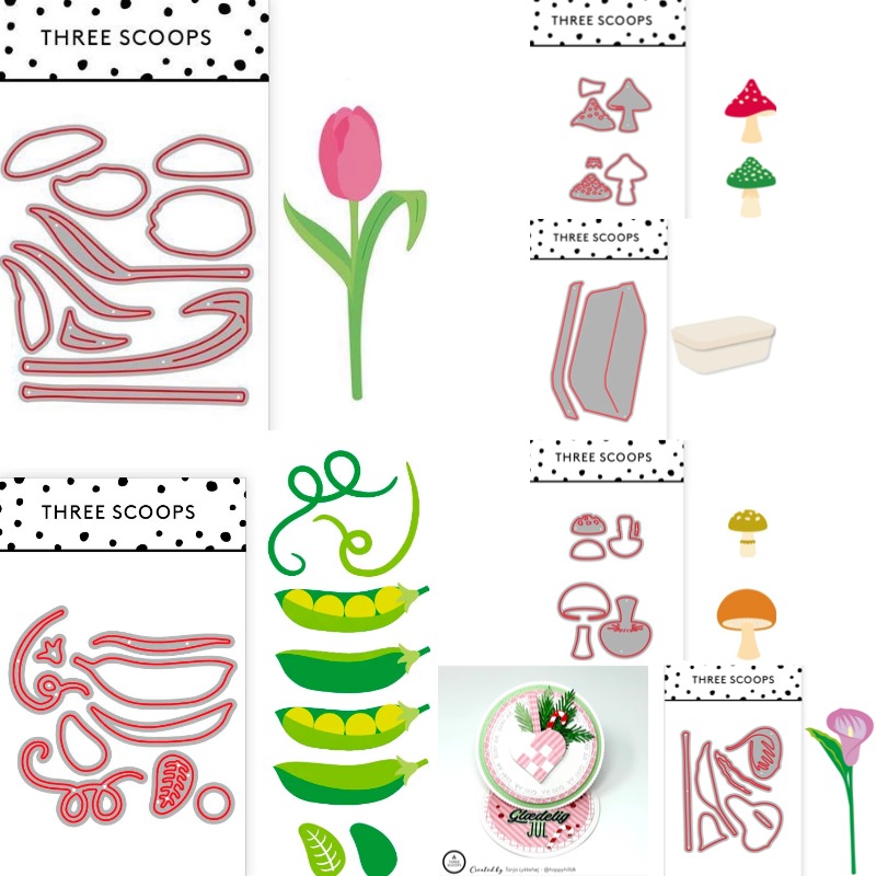 Curvature of the Leaves in the - Candle Making Books 评论和价格