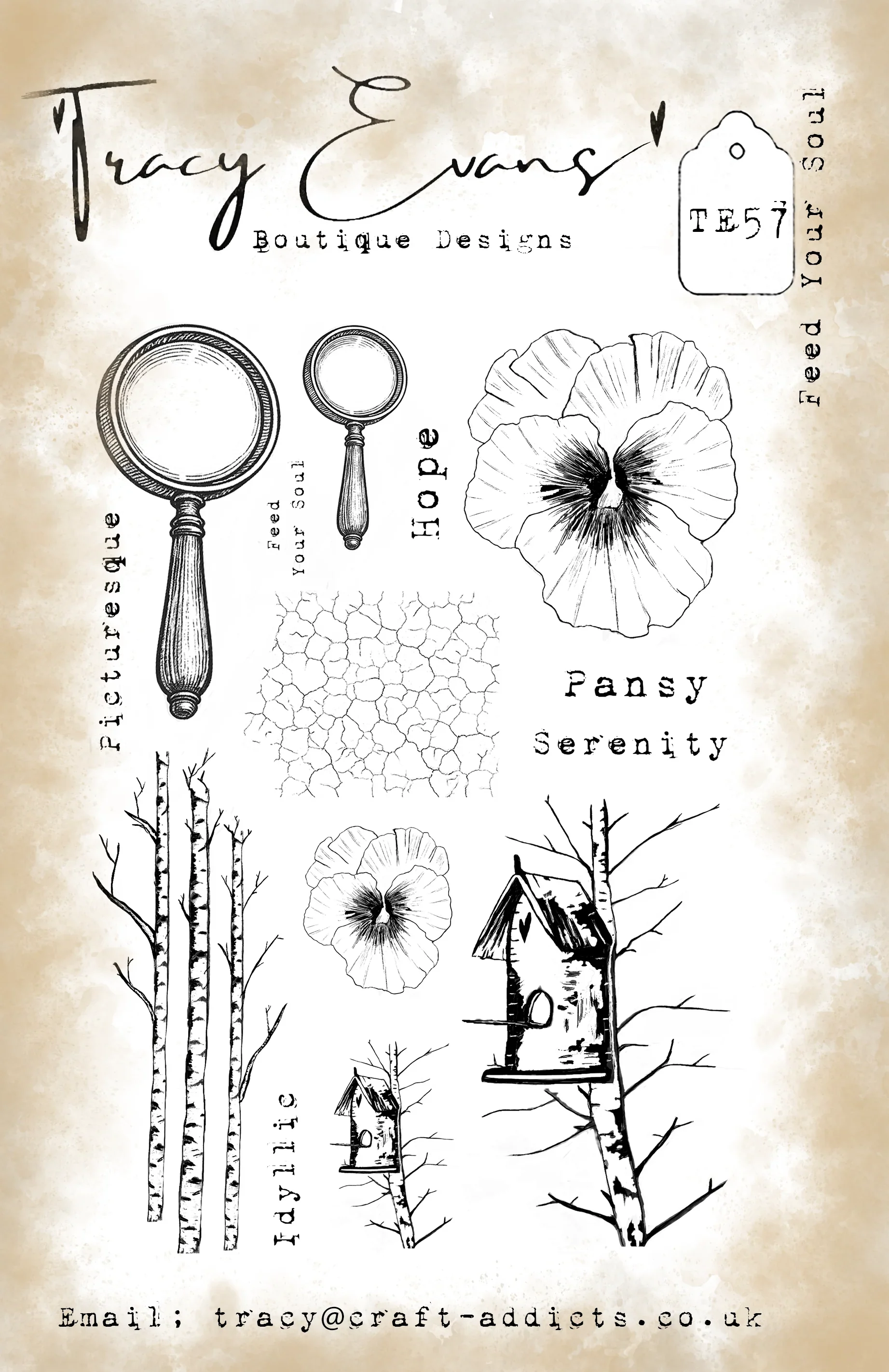 The Beauty of a Flower Metal C - Candle Making Books 评论和价格
